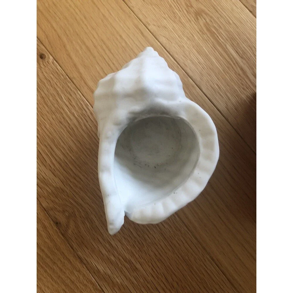 Ceramic Conch Sea Shell‎ Planter with Decorative Gift Box